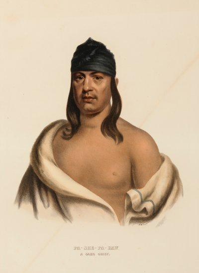 PA-SHE-PA-HAW. Un capo SAUK, da Storia delle tribù indiane del Nord America da Charles Bird King