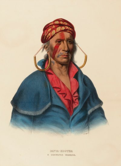 PAYTA-KOOTHA. Un guerriero SHAWANOE, da Storia delle tribù indiane del Nord America. da Charles Bird King