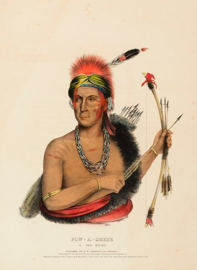 POW-A-SHEEK. UN CAPO FOX. da Charles Bird King
