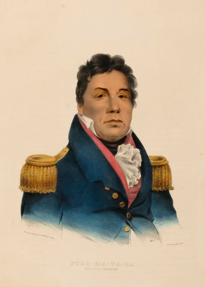 PUSH-MA-TA-HA. GUERRIERO CHACTAN, da Storia delle Tribù Indiane del Nord America da Charles Bird King