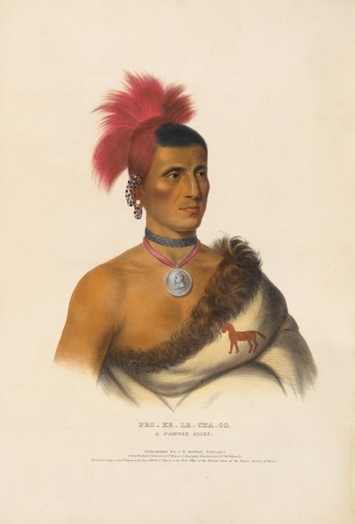  da Charles Bird King