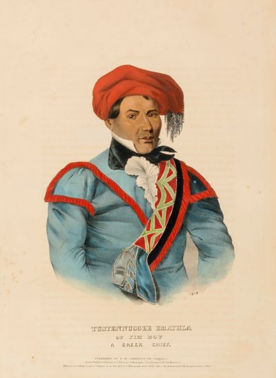 TUSTENNUGGEE EMATHLA, da Storia delle Tribù Indiane del Nord America da Charles Bird King