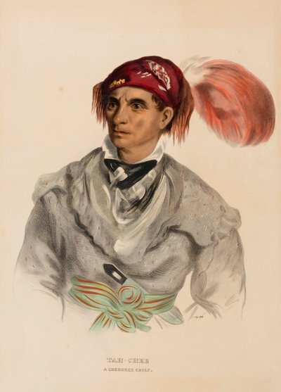 Tah-Chee (olandese), un capo Cherokee, da Storia delle tribù indiane del Nord America da Charles Bird King