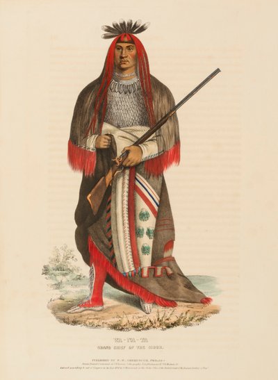 WA-NA-TA. GRANDE CAPO DEI SIOUX, da Storia delle tribù indiane del Nord America da Charles Bird King