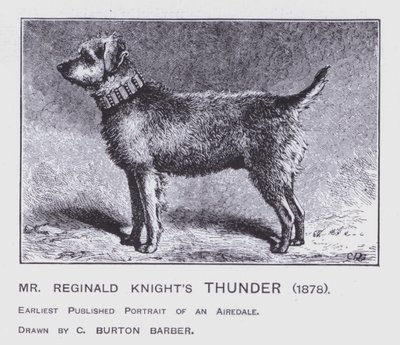 Il tuono di Mr Reginald Knight da Charles Burton (after) Barber