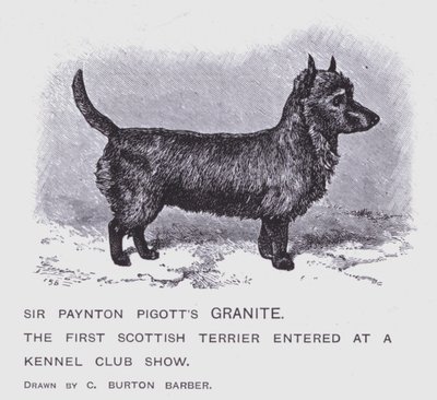 Il granito di Sir Paynton Pigott da Charles Burton (after) Barber