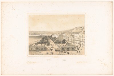 Vista della Villa Poggio Reale con viale alberato a Napoli da Charles Claude Bachelier