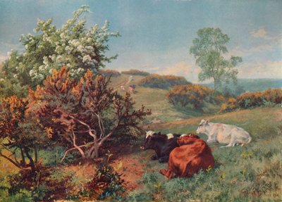 Paesaggio con bestiame a Nower, Dorking, c1899 da Charles Collins