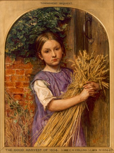 Il buon raccolto del 1854 da Charles Collins