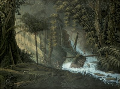 Foresta Brasiliana da Charles Comte de Clarac