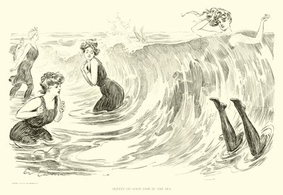 Illustrazione per The Social Ladder da Charles Dana Gibson