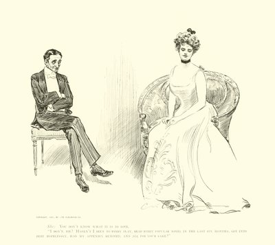 Illustrazione per La scala sociale da Charles Dana Gibson