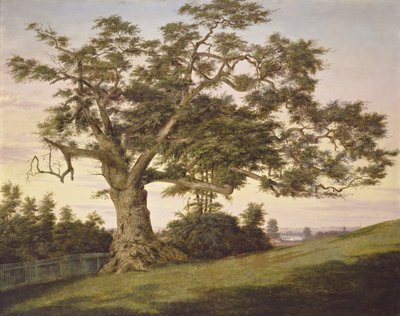 Il Charter Oak da Charles de Wolf Brownell
