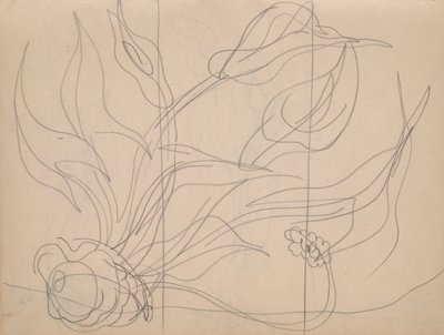 Taccuino: 36 pagine in totale, contenente 28 schizzi (inclusi studi per Demuth) da Charles Demuth