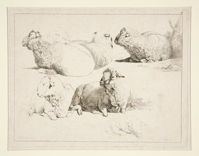 Pecore al pascolo da Charles Echard