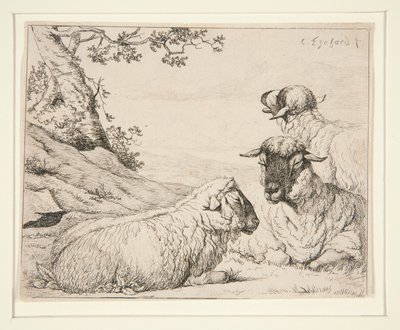 Tre Pecore da Charles Echard