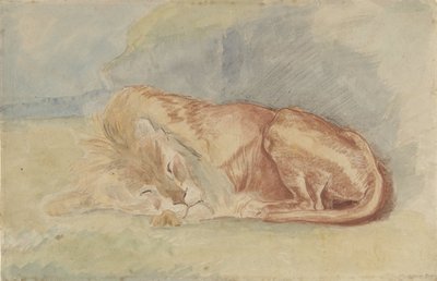 Leone Addormentato da Charles Edmé Saint Marcel Cabin