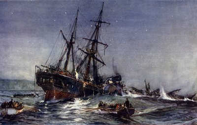 Il naufragio della Birkenhead da Charles Edward Dixon