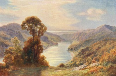 Il Wye vicino alla sua confluenza con il Severn da Charles Edward Johnson