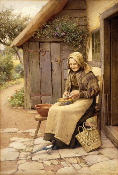 Un amico piumato da Charles Edward Wilson