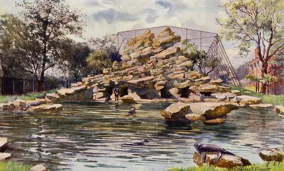 Zoo di Londra: Stagno dei leoni marini da Charles Edwin Flower