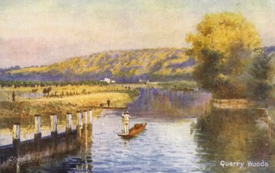 Fiume Tamigi: Quarry Woods da Charles Edwin Flower
