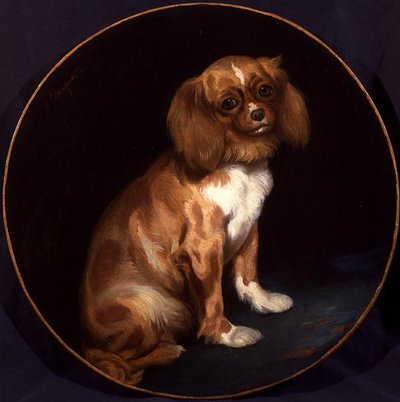 Un King Charles Spaniel da Charles Emile Callande de Champmartin