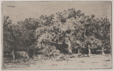 Un angolo della foresta di Fontainebleau da Charles Emile Jacque
