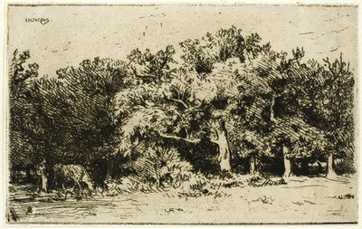 Una parte della foresta di Fontainebleau da Charles Emile Jacque