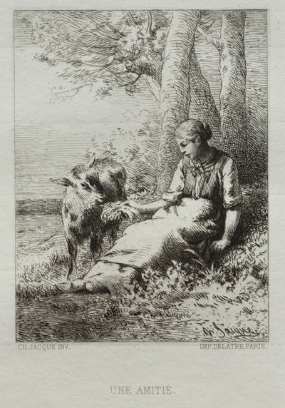 Affetto da Charles Emile Jacque