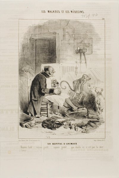 Un Ospedale per Animali (tavola 20) da Charles Emile Jacque