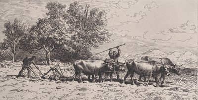 Attelage de Boeufs da Charles Emile Jacque