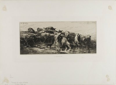 Mucche che bevono da Charles Emile Jacque