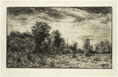 Bordo di un bosco, sotto cielo nuvoloso da Charles Emile Jacque