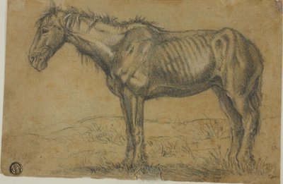 Cavallo emaciato (recto); vista frontale di un cavallo (verso) da Charles Emile Jacque