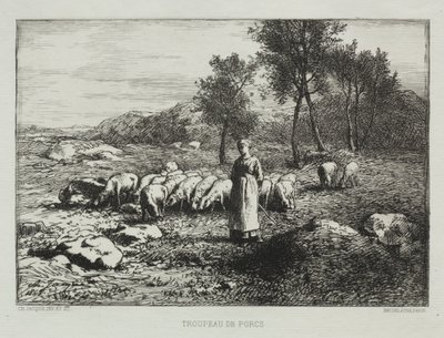 Branco di suini da Charles Emile Jacque