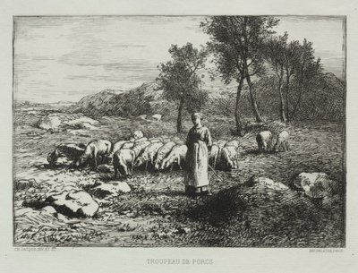 Branco di maiali, 1868 da Charles Emile Jacque