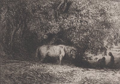 Cavallo sotto un ramo d