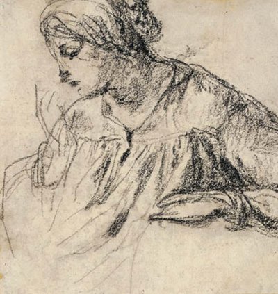 Donna con il viso di profilo da Charles Emile Jacque