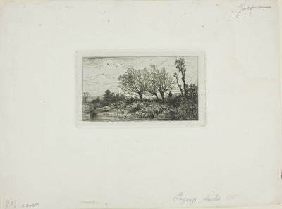 Paesaggio, salici da Charles Emile Jacque