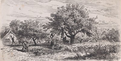 Raccolta di frutta dall