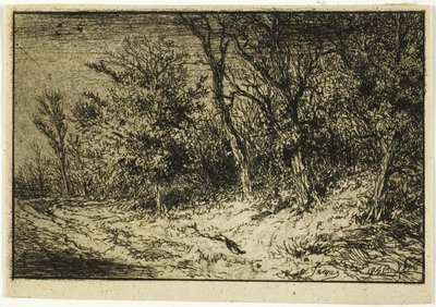 Strada al margine di un bosco da Charles Emile Jacque