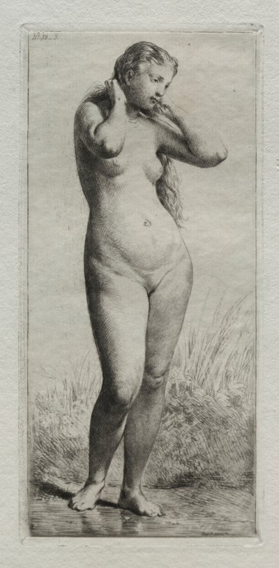 Giovane donna che fa il bagno da Charles Emile Jacque