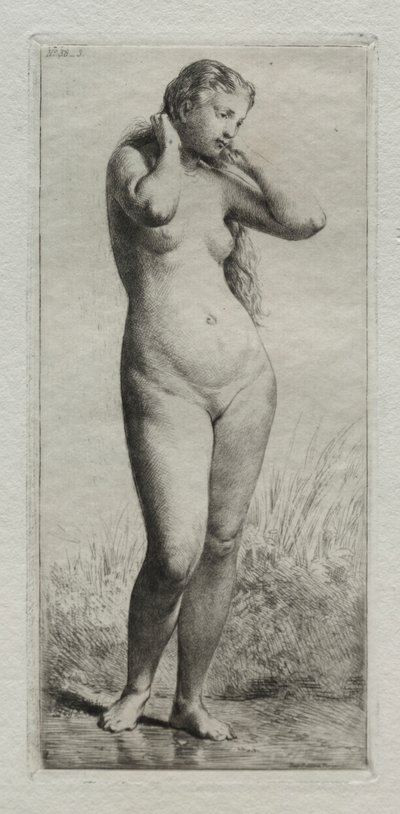 Giovane donna che fa il bagno da Charles Emile Jacque