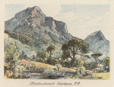 Sudafrica: Giardini di Kirstenbosch, CP da Charles Ernest Peers