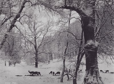 Parco di Knole da Charles Essenhigh Corke