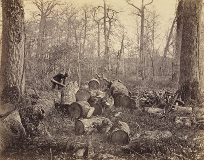 Foresta di Fontainebleau da Charles Famin