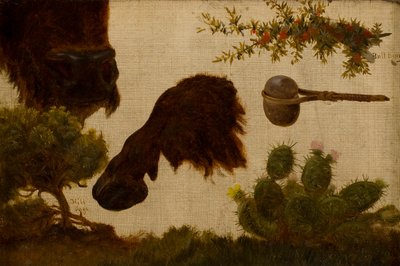 Studio per “Il bufalo ferito”: salvia della collina, testa e zoccolo di bufalo, bacca di toro, ascia di pietra e cactus da Charles Ferdinand Wimar