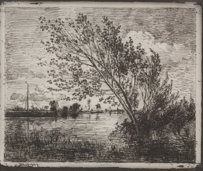 Un gruppo di ontani, impressione originale da Charles Francois Daubigny