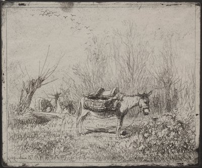 Un asino nel campo, impressione originale 1862, stampata nel 1921 da Charles Francois Daubigny